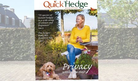 QuickHedge magazine