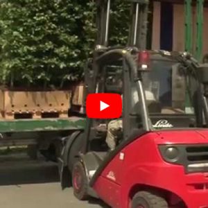 QuickHedge instant hedges - loading truck