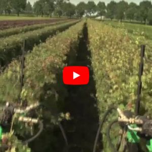 QuickHedge instant hedges - triming