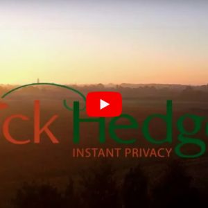 QuickHedge instant hedges - Nursery from the sky - Drone action