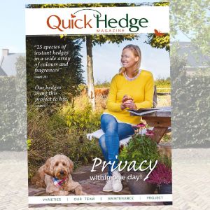 QuickHedge Magazin