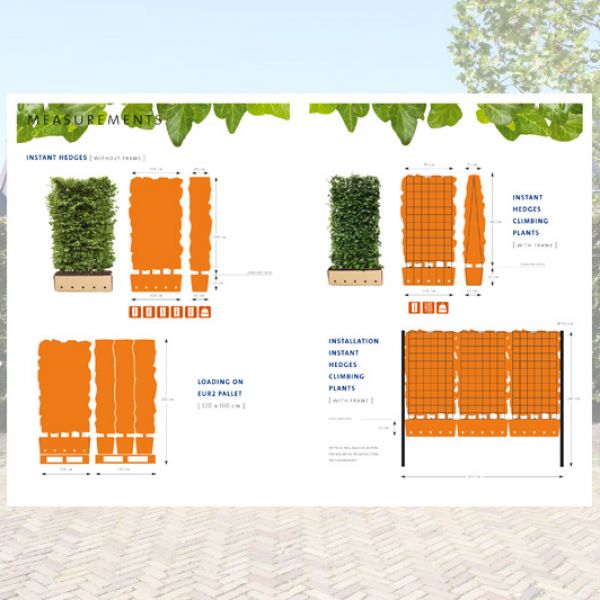 Overview of hedge sizes