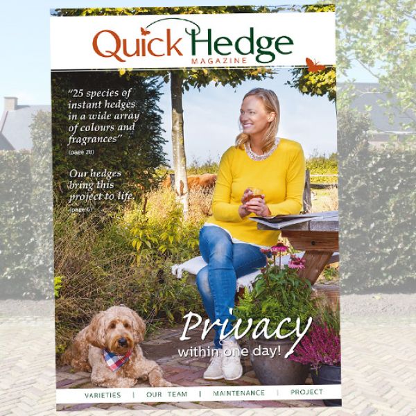 QuickHedge magazine