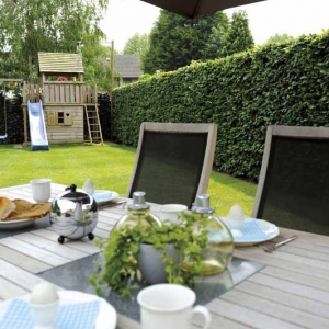 Privé tuin, Nederland