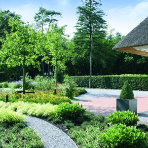 Hoveniersbedrijf van Triest, Nederland