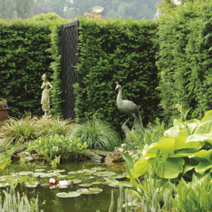 Jan Janssen Tuinprojecten, Nederland