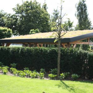 Dak vegetatie kantoor QuickHedge