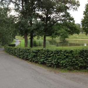 Cramers Blommor, Park Skövde, Zweden