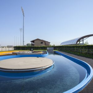 Plantago, Hippo Arena Slowakije