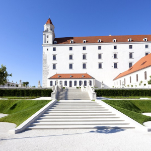Plantago, Bratislava Castle, Slovakia
