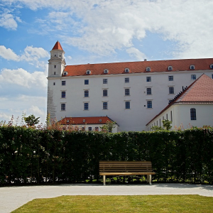 Plantago, Bratislava Castle, Slovakia
