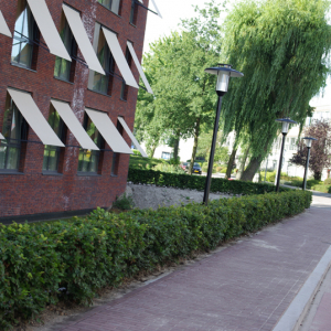 De Wit Groenvoorziening, Hospital NL