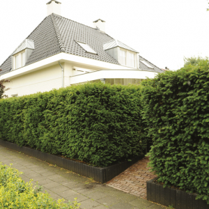 Jan Janssen Tuinprojecten, Niederlande