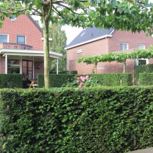Privat Garten, Niederlande