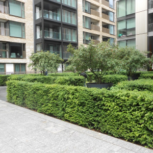 Willerby Landscapes, UK