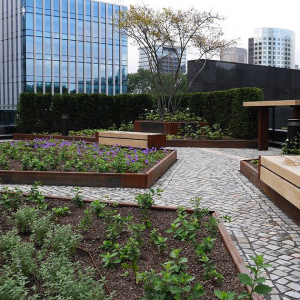 Donkergroen, ABN AMRO, NL