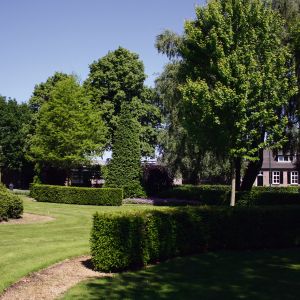 Koen Cox groendesign, Belgique