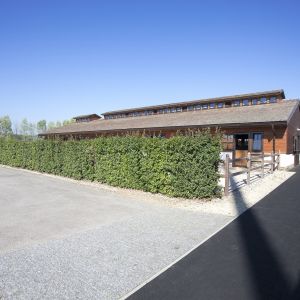 Plantago, Hippo Arena Slovaquie