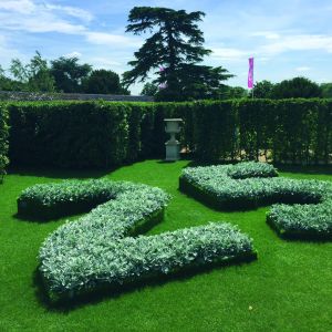 Labyrinthe, RHS Hampton Court show, UK