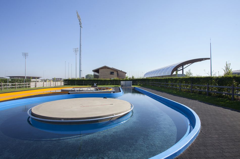 Plantago, Hippo Arena Slowakije