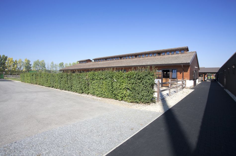 Plantago, Hippo Arena Slowakije