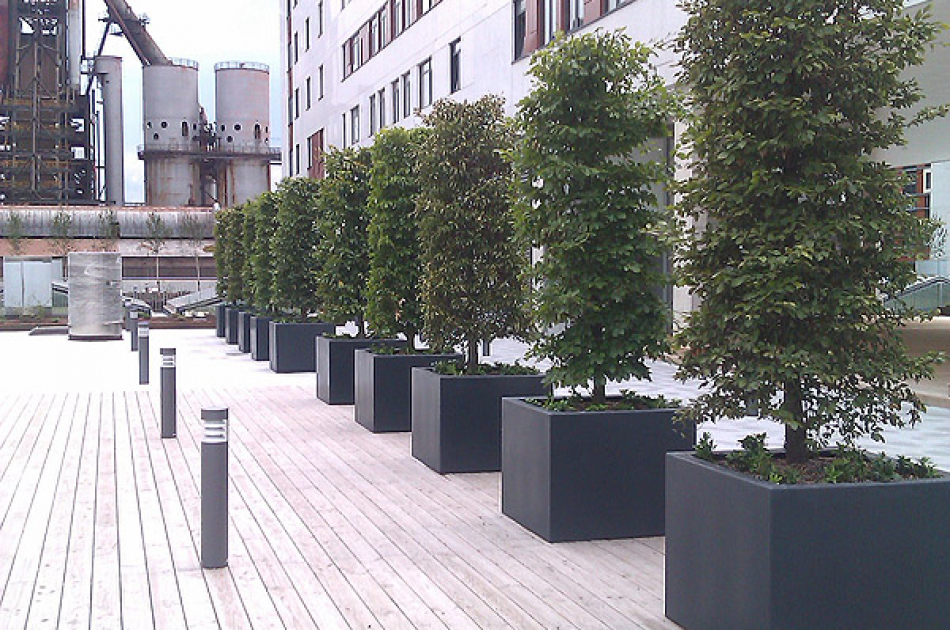 Nedpalm/ Binnen de Hagen, Luxembourg