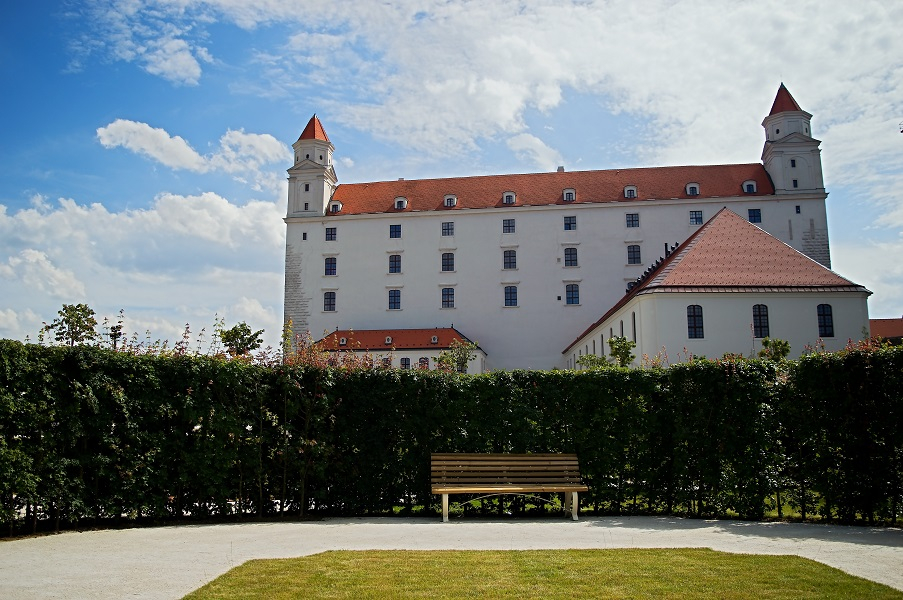 Plantago, Bratislava Castle, Slovakia