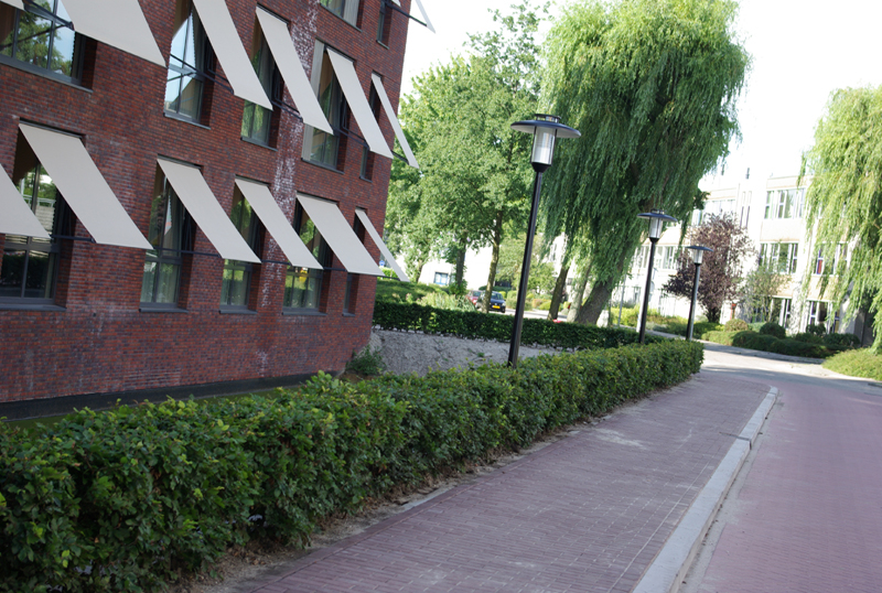 De Wit Groenvoorziening, Hospital NL