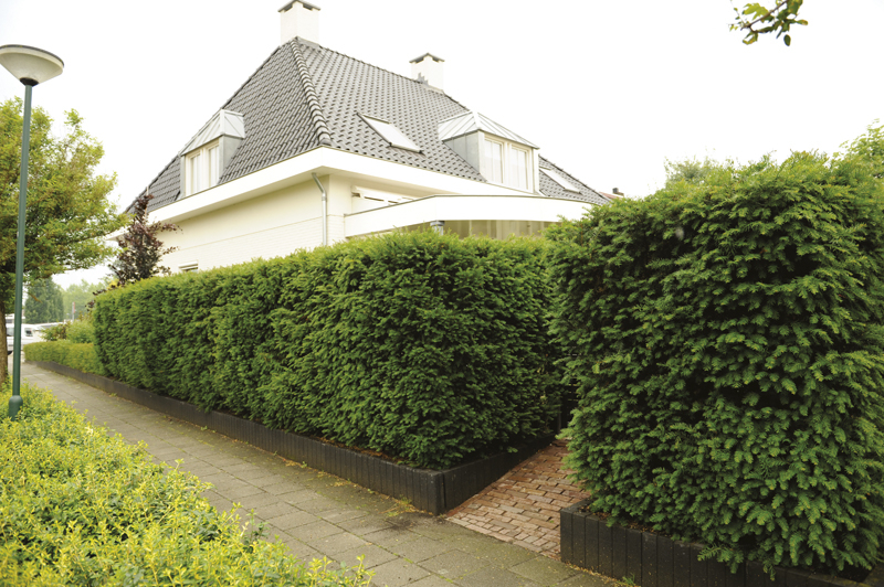 Jan Janssen Tuinprojecten, Niederlande