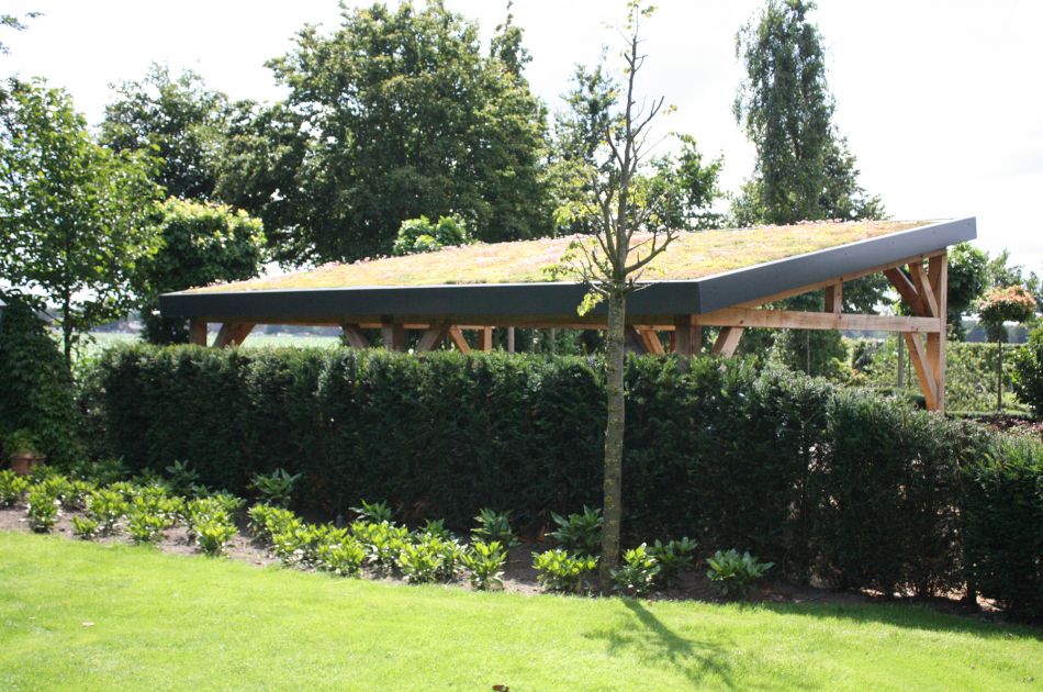 Dachbegrünung Büro QuickHedge